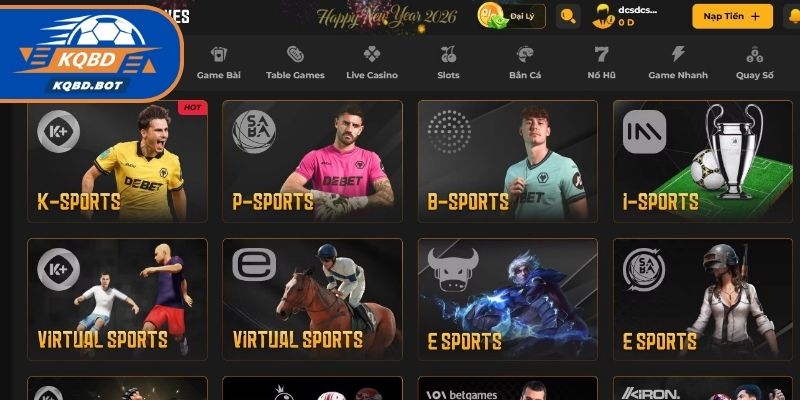 Các sản phẩm DEBET cung cấp trên thị trường